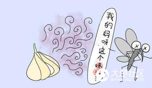 2025年3月4日