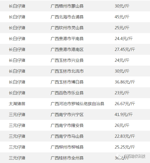 仪表堂堂