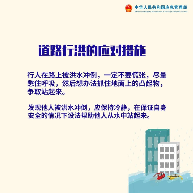抓落实能力短板，挑战与应对策略解析