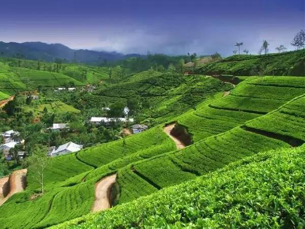 郑州性价比最高的十大景点推荐，中原畅游指南，美景尽享无极限