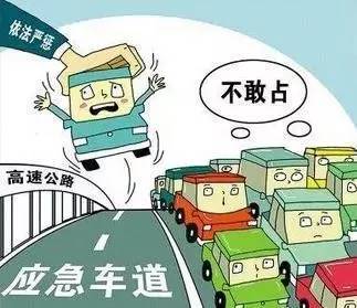 寒蝉僵鸟