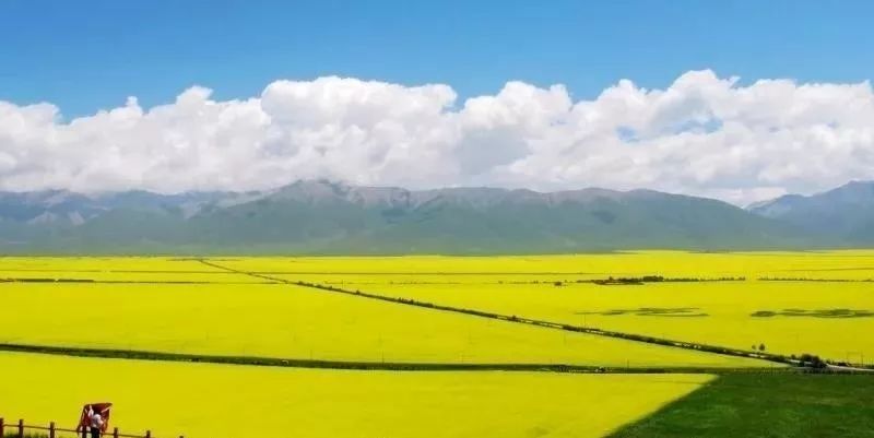 专辑 第15页
