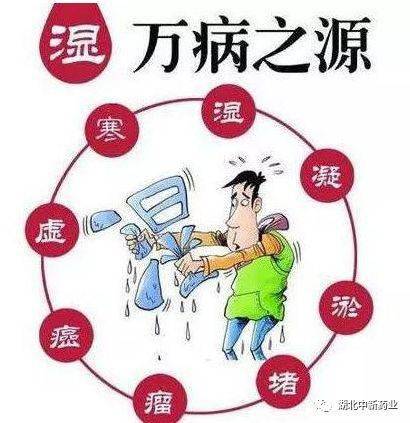 湿气与健康，全面解析湿气影响，守护你的健康