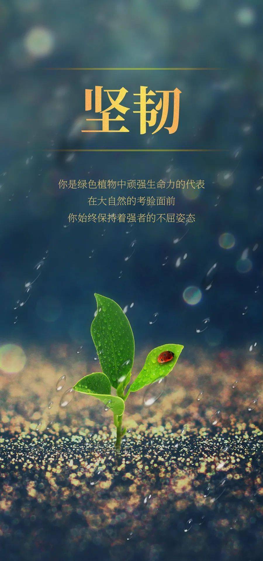 冬日励志语录，激发无限激情，点燃生命之火！