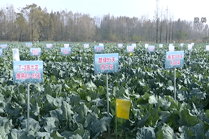2025年4月 第5页