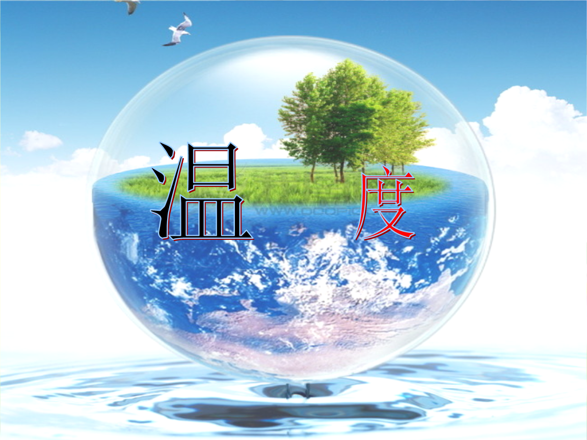 森林资源保护与可持续发展之道