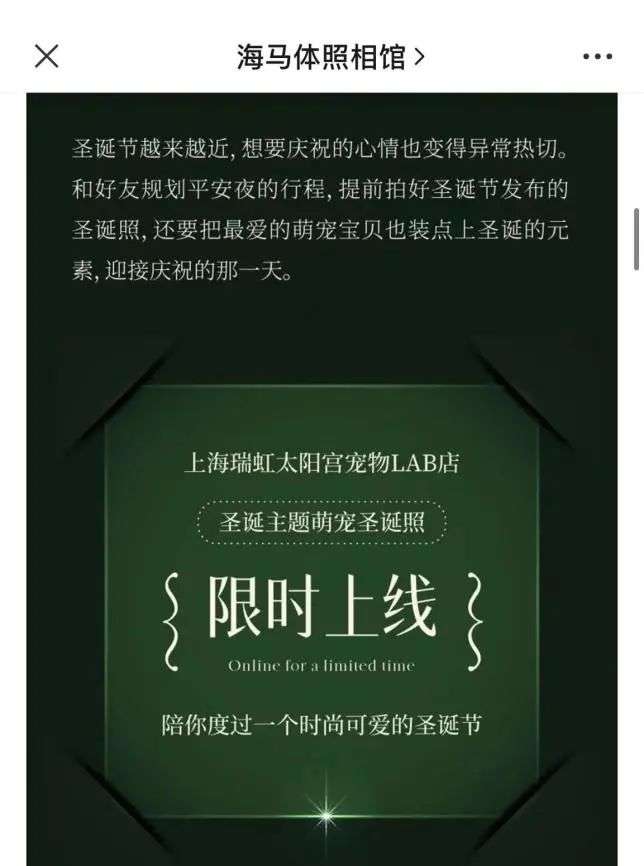 快速高效文案，卓越内容的艺术之道
